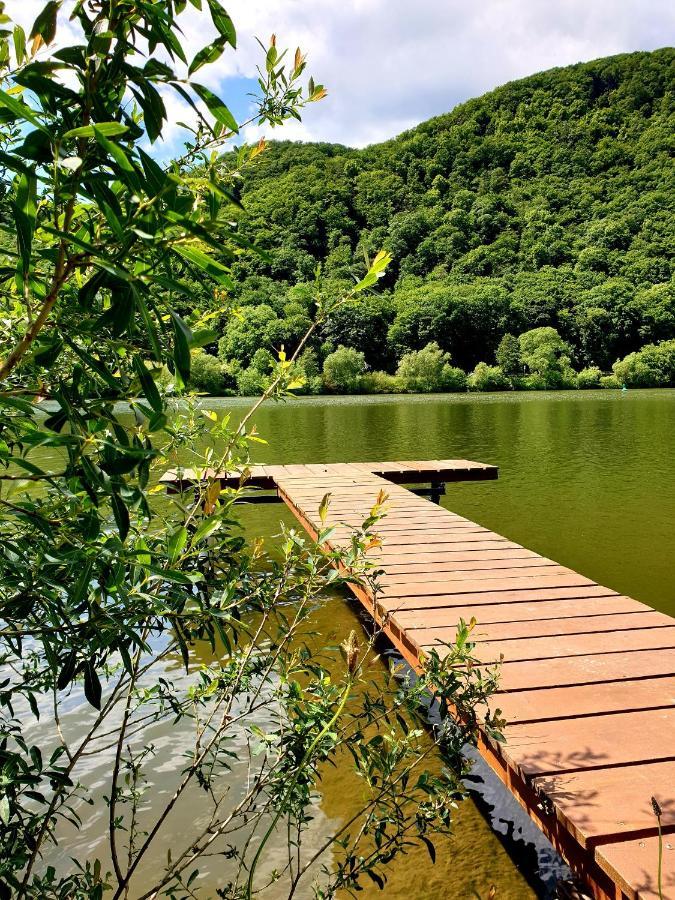 Ferienwohnung Ambiente Klotten Εξωτερικό φωτογραφία